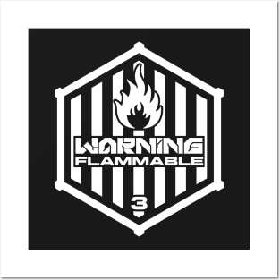 Warning: Flammable Posters and Art